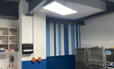 Local comercial en renta en Lomas de Chapultepec!!  (AeI)