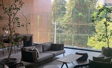 Renta departamento amueblado polanco RESIDENCIAL AVENUE POLANCO