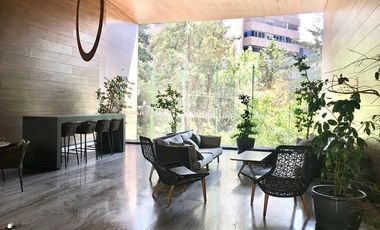 Renta departamento amueblado polanco RESIDENCIAL AVENUE POLANCO