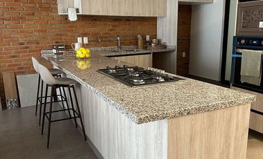 INVIERTE Y VIVE COMO SIEMPRE LO SOÑASTE, EN LA RIBERA DE CHAPALA