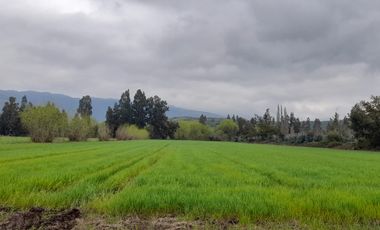 VENTA TERRENO - SITIO 5000MTS Santa Cruz