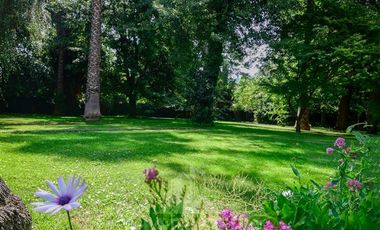 Departamento en Venta en Avenida España