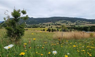 Casa en Arriendo en Condominio Los Riscos