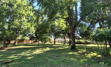 Casa en Arriendo en Av. Octavio Jara Wolf