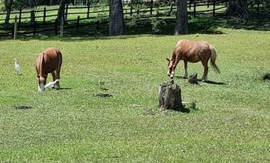 VENTA de LOTES en EL RETIRO
