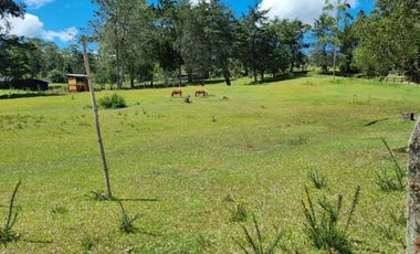 VENTA de LOTES en EL RETIRO