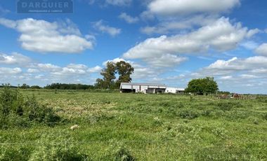 Campo en San Vicente