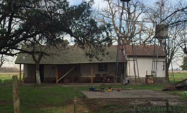 Campo en San Vicente