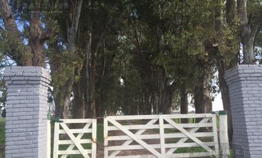 Campo en San Vicente