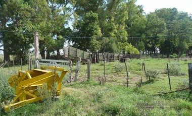 Campo en San Vicente