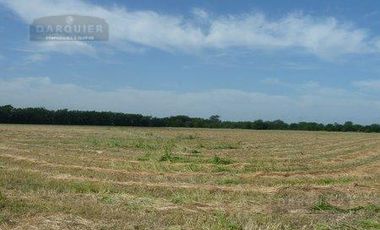 Campo en San Vicente
