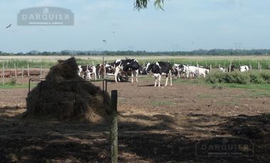 Campo en San Vicente