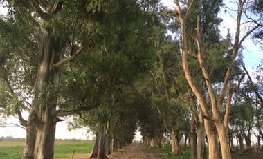 Campo en San Vicente