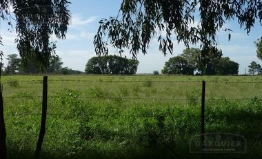 Campo en San Vicente