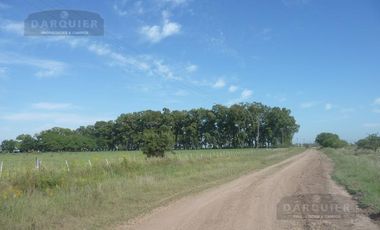 Campo en San Vicente
