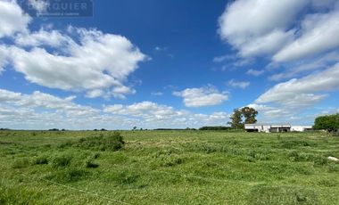 Campo en San Vicente