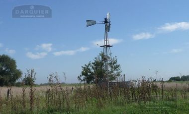 Campo en San Vicente