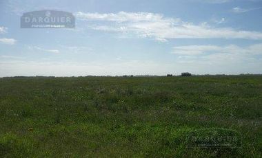 Campo en San Vicente