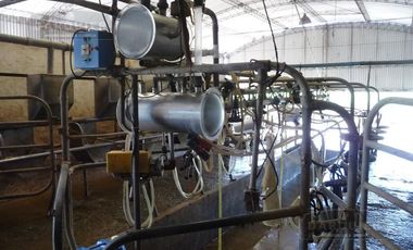 Campo en San Vicente