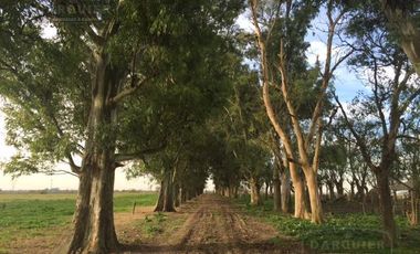 Campo en San Vicente