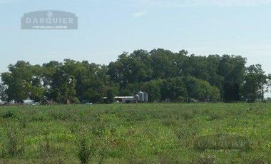 Campo en San Vicente