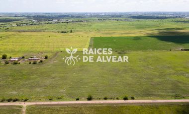 Terreno en barrio cerrado , raices de alvear