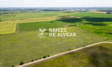 Terreno en barrio cerrado , raices de alvear