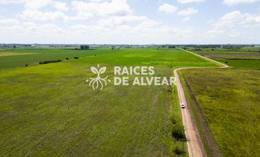 Terreno en barrio cerrado , raices de alvear