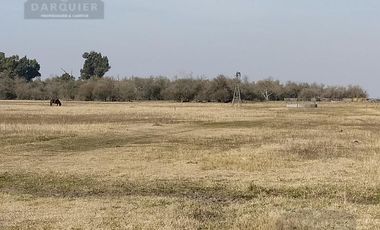 Campo - Roque Perez
