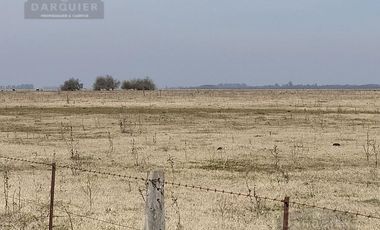 Campo - Roque Perez