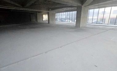 Local en Renta, Mariano Escobedo en Polanco. Excelente Oportunidad!