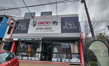 LOCAL CON GALPON Y DEPARTAMENTOS