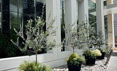 ALQUILER - Excelente Departamento en piso alto - Palermo Chico