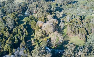 Av. Quilmes 54 - Santa Isabel - Mar del Plata