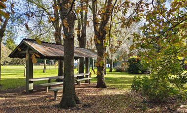 Av. Quilmes 54 - Santa Isabel - Mar del Plata