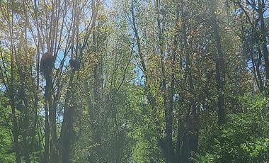 Casa en Venta  - Barrio Cerrado Jardin Nautico De Escobar-