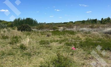 En Venta, 7 Hectáreas y cabaña de 1 dormitorio, zona de chacras Plottier, Neuquén.