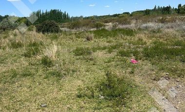 En Venta, 7 Hectáreas y cabaña de 1 dormitorio, zona de chacras Plottier, Neuquén.