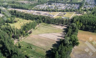 En Venta, 7 Hectáreas y cabaña de 1 dormitorio, zona de chacras Plottier, Neuquén.