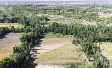 En Venta, 7 Hectáreas y cabaña de 1 dormitorio, zona de chacras Plottier, Neuquén.