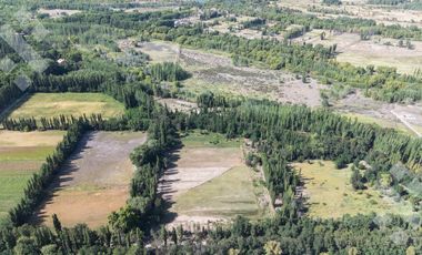 En Venta, 7 Hectáreas y cabaña de 1 dormitorio, zona de chacras Plottier, Neuquén.