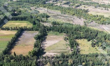 En Venta, 7 Hectáreas y cabaña de 1 dormitorio, zona de chacras Plottier, Neuquén.