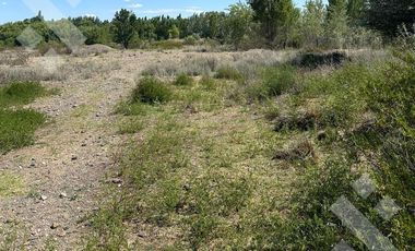 En Venta, 7 Hectáreas y cabaña de 1 dormitorio, zona de chacras Plottier, Neuquén.