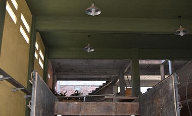 Edificio en block en Wilde