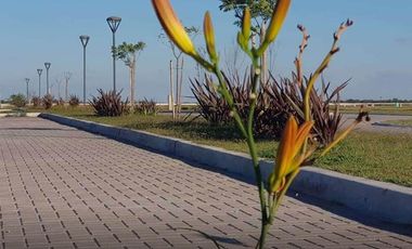 Terreno en venta a la laguna en Santa Clara al Sur Canning