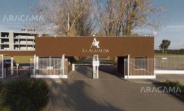 VENTA DE LOTE EN LA ALAMEDA - CANNING