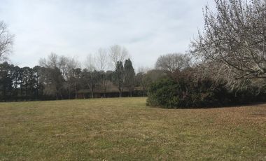 Oportunidad - 7,2 hectáreas de terreno - Corredor Comercial y Complementario Residencial 1