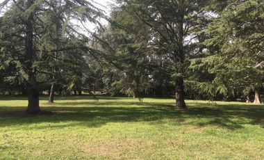 Oportunidad - 7,2 hectáreas de terreno - Corredor Comercial y Complementario Residencial 1