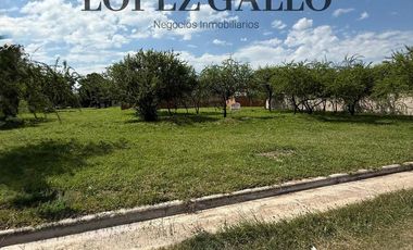 Terreno en Sinsacate