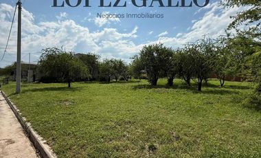 Terreno en Sinsacate